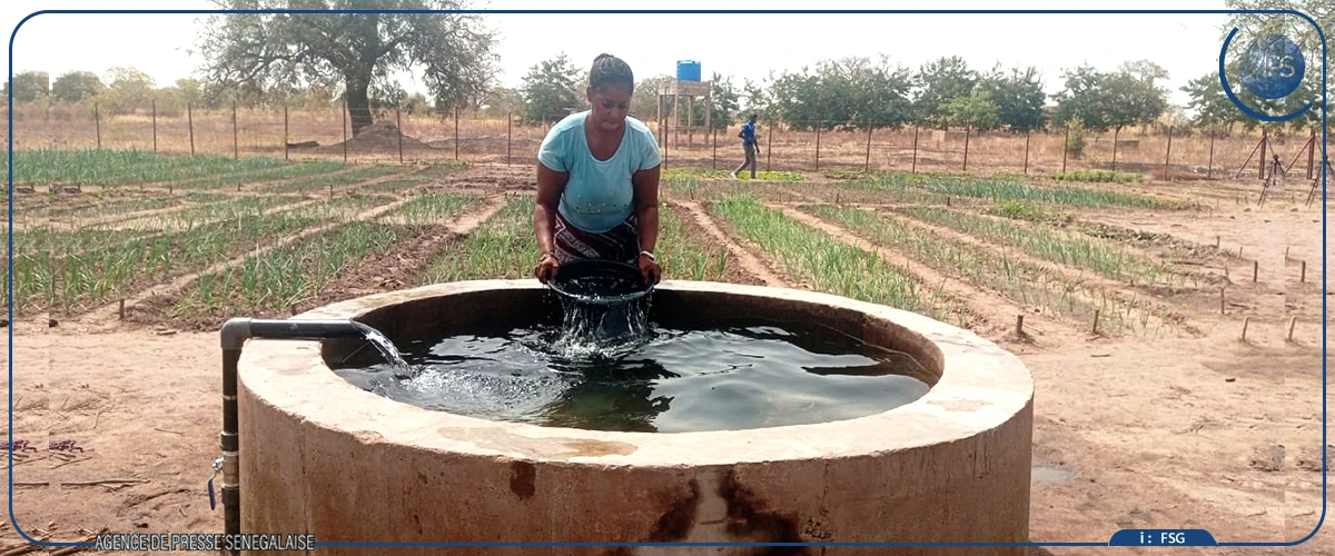 Les femmes du Pakao, fer de lance de la résilience économique