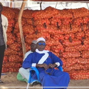Pomme de terre : des associations de maraîchers veulent une suspension immédiate de la commercialisation par les agrobusiness