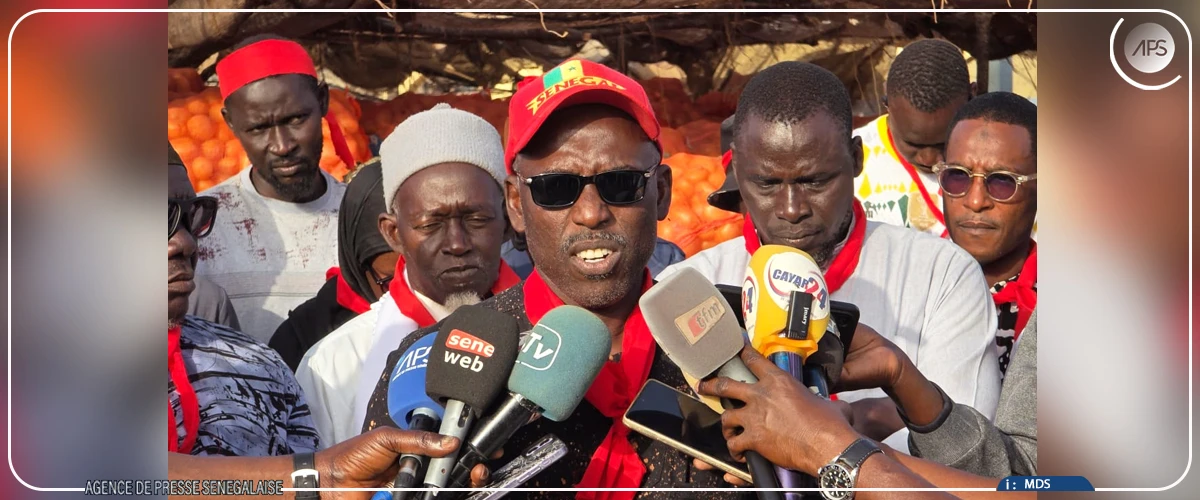 Pomme de terre : des associations de maraîchers veulent une suspension immédiate de la commercialisation par les agrobusiness