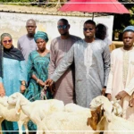 Tocky Gare : 50 brebis distribuées à quatre groupements de femmes pour promouvoir l'autosuffisance en moutons