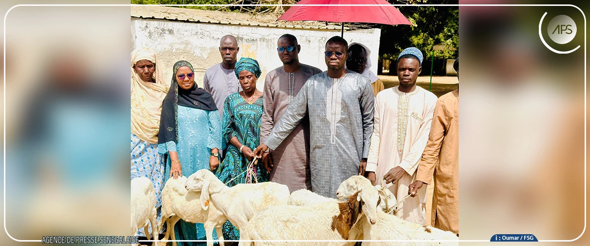 Tocky Gare : 50 brebis distribuées à quatre groupements de femmes pour promouvoir l’autosuffisance en moutons