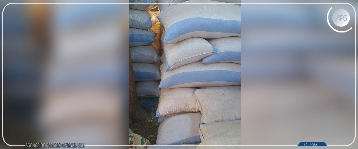 Commercialisation arachidière: la collecte jugée lente à Sédhiou, avec peu de points de collecte fonctionnels