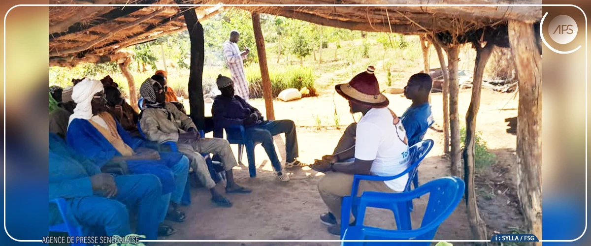 ''TooluBaay'', une solution numérique pour accompagner les producteurs agricoles de Tambacounda