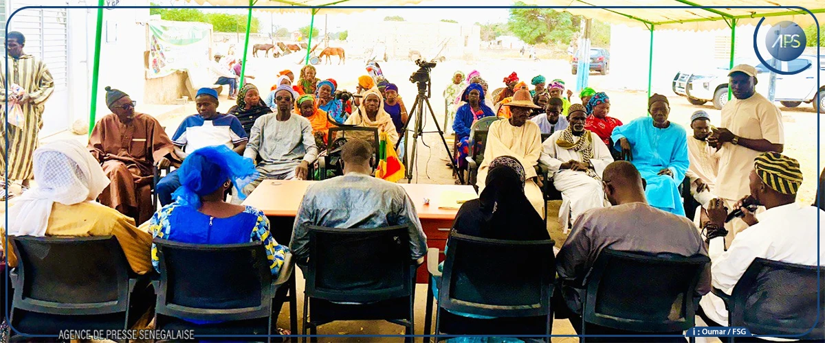 Tocky Gare : 50 brebis distribuées à quatre groupements de femmes pour promouvoir l'autosuffisance en moutons