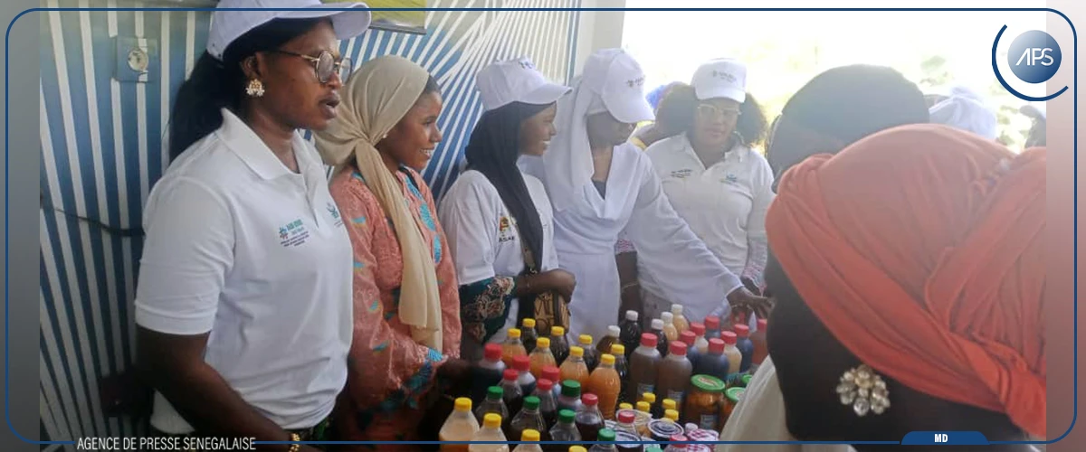 Linguère : 170 jeunes formés aux métiers agrosylvopastoraux