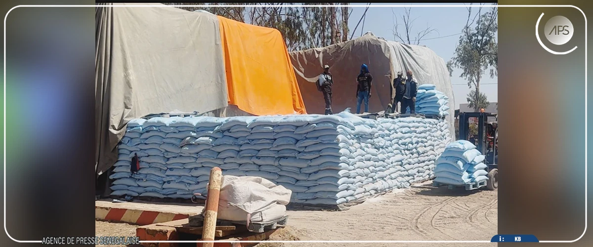 Richard-Toll : 74 000 tonnes de sucre disponibles pour approvisionner le marché national, selon la CSS