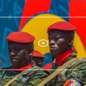 Entre espoir démocratique et retours en arrière : l’équilibre précaire de l’Afrique