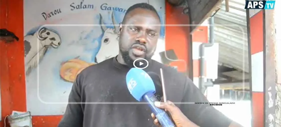 Touba : au marché Ocass, la viande fraîche ne trouve plus preneur face à la flambée des prix