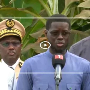 Banane : l’autosuffisance à portée de main, selon le président de la République