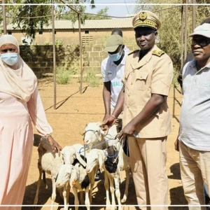 Bakel : distribution de 120 petits ruminants à des groupements de femmes  ‎