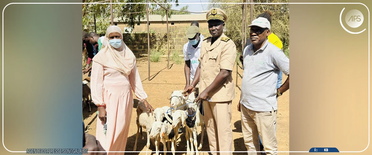 Bakel : distribution de 120 petits ruminants à des groupements de femmes  ‎