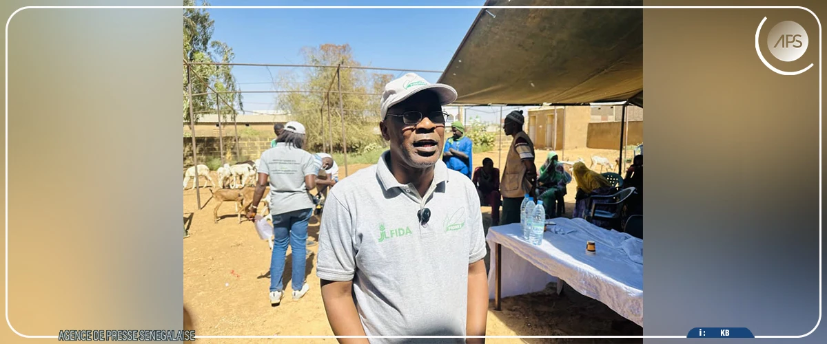 Bakel : distribution de 120 petits ruminants à des groupements de femmes  ‎