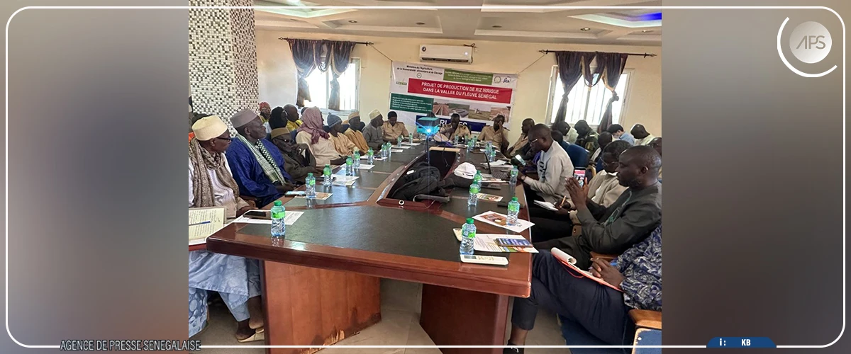 Production de riz irrigué : les travaux du PPRI lancés à Ndioum