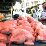 Korité et Pâques : le poulet local disponible en quantité suffisante sur le marché local (producteur)