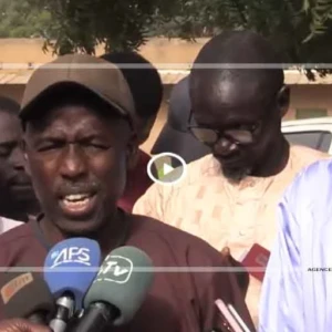 Commercialisation des produits horticoles : les maraîchers des Niayes dénoncent des mesures " inefficaces "