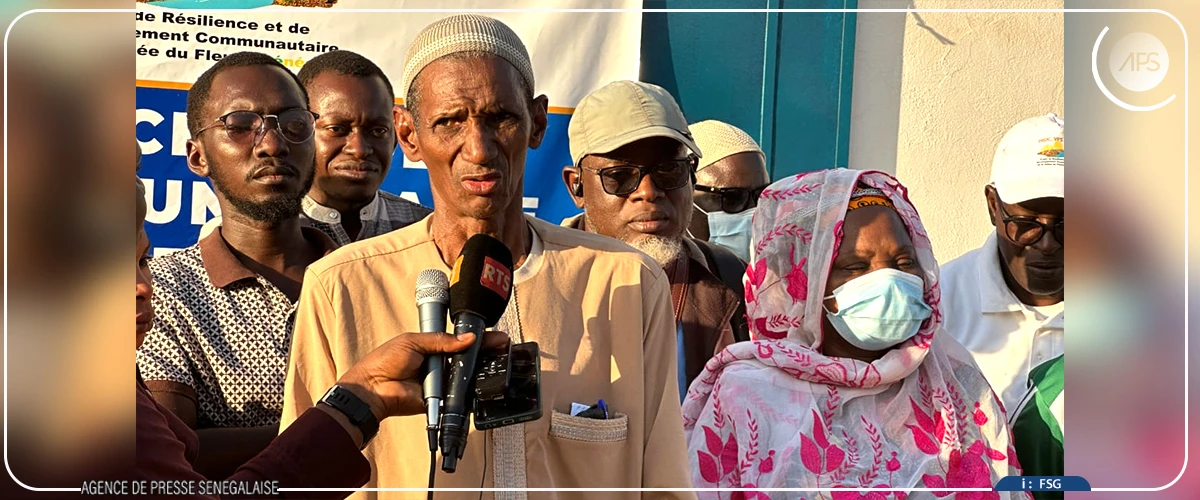 Bakel: les producteurs de riz confrontés à des difficultés dans l’accès aux financements