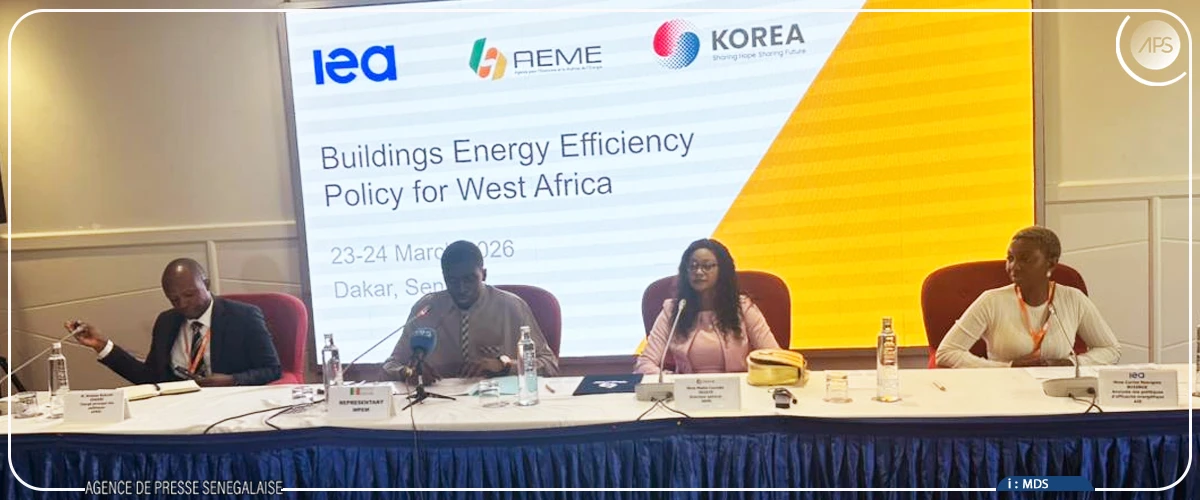 Plaidoyer pour l’intégration de l’efficacité énergétique dans la politique énergétique du pays