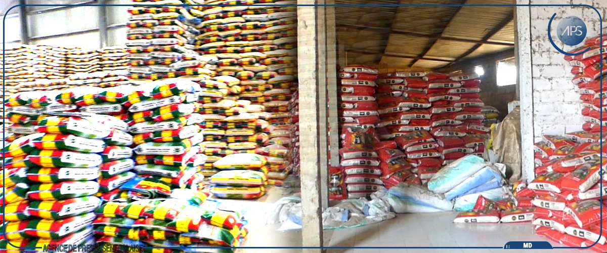 Riz local: des producteurs étalent leurs inquiétudes face aux stocks d’invendus