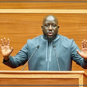 CNRM : Alioune Sall défend la transition vers une régulation intégrée et plus élargie des médias