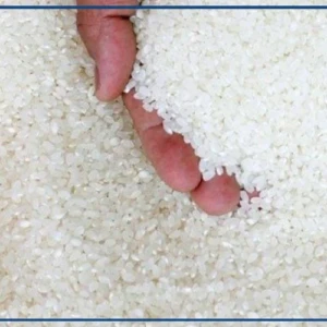 Approvisionnement des structures publiques en riz local : une "mesure salutaire", selon Cicodev Afrique