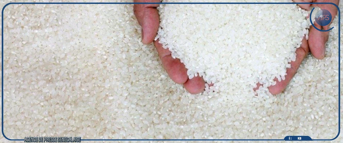 Approvisionnement des structures publiques en riz local : une “mesure salutaire”, selon Cicodev Afrique