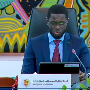 Bassirou Diomaye Faye demande au gouvernement d’intensifier les actions de modernisation de l’élevage