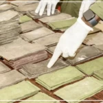 Des billets noirs d'une contrevaleur de 1 milliard de francs CFA saisis par la subdivision des douanes de Kaolack