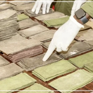 Des billets noirs d'une contrevaleur de 1 milliard de francs CFA saisis par la subdivision des douanes de Kaolack