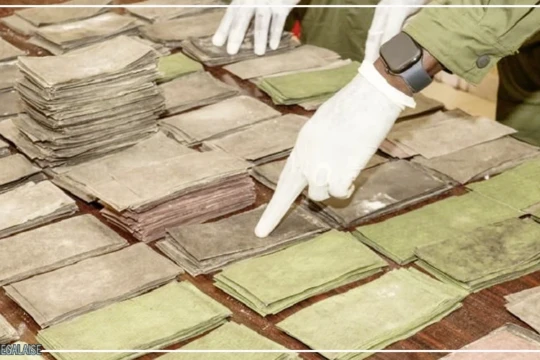 Des billets noirs d'une contrevaleur de 1 milliard de francs CFA saisis par la subdivision des douanes de Kaolack