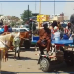 Kaolack : largement suivie, la grève des transporteurs routiers fait l’affaire des charretiers et conducteurs de motos-taxis