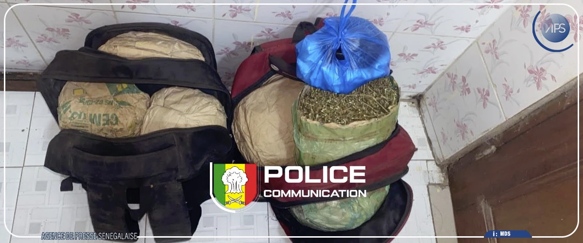 Kaolack : interpellation de deux individus pour trafic de stupéfiants, les produits prohibés saisis