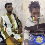 Kaolack : interpellation de deux individus pour trafic de stupéfiants, les produits prohibés saisis