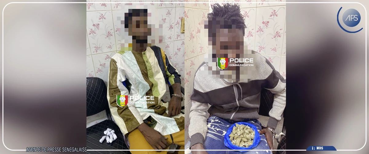 Kaolack : interpellation de deux individus pour trafic de stupéfiants, les produits prohibés saisis