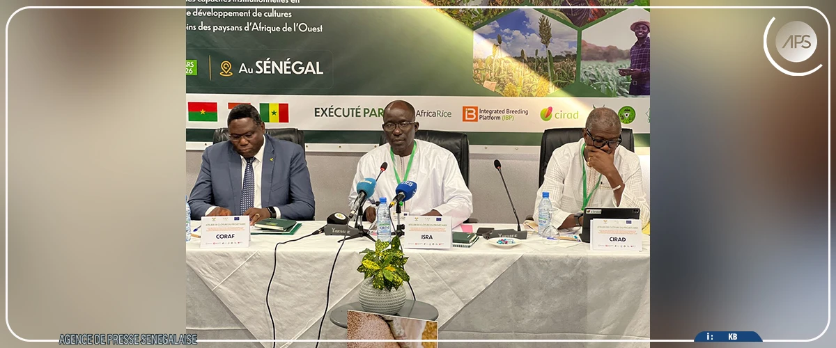 Un projet mis en œuvre par le CORAF a permis de développer des cultures résilientes au cours des six dernières années