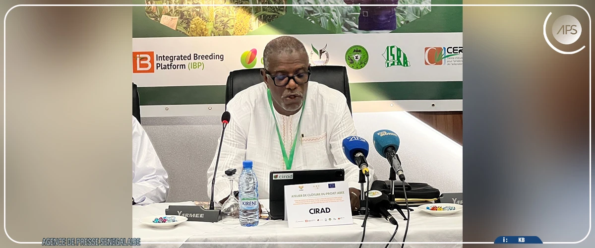 Un projet mis en œuvre par le CORAF a permis de développer des cultures résilientes au cours des six dernières années