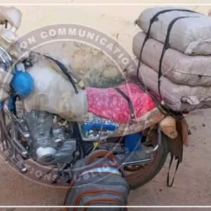 Sédhiou : saisie de 179 kg de chanvre indien, un suspect interpellé (source sécuritaire)