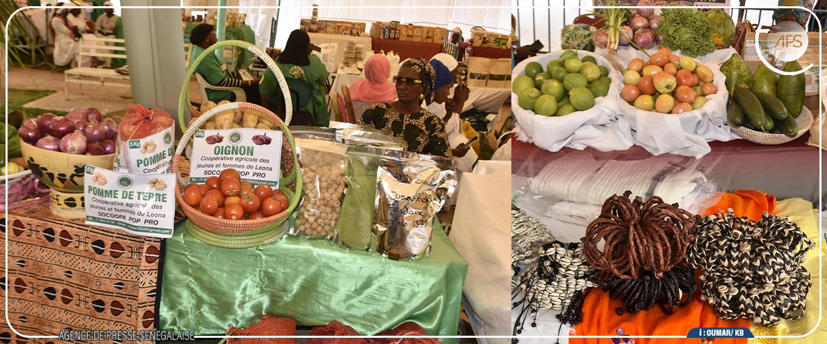 Diourbel : Maïmouna Dièye promet un financement de 350 millions de francs CFA aux femmes de la région