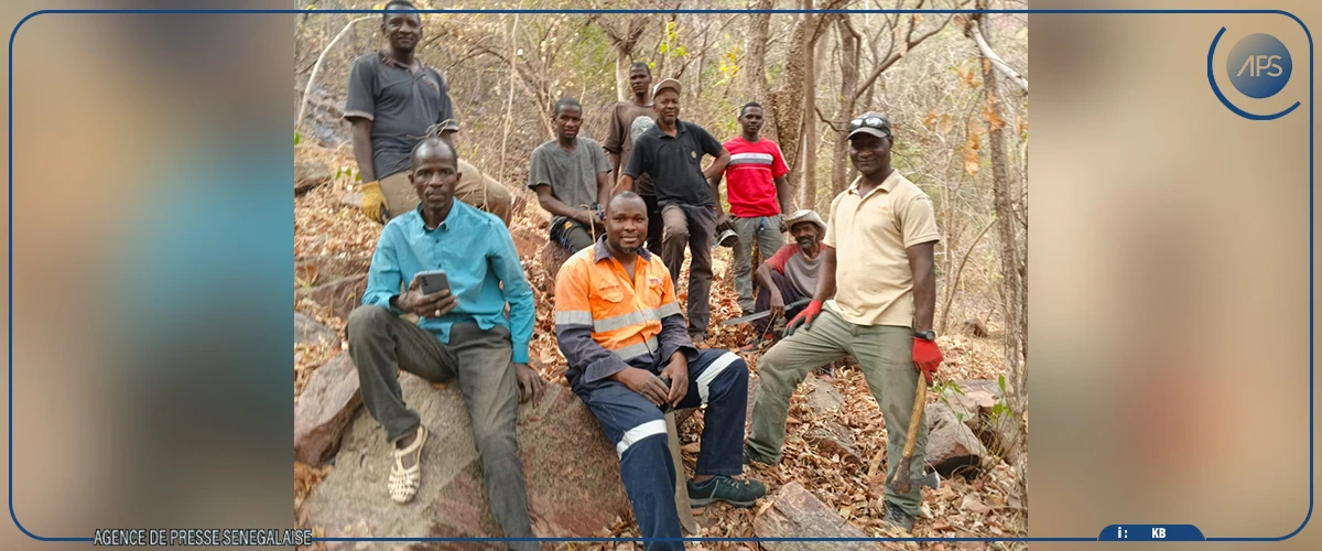 Des flammes consument la réserve naturelle de Dindéfélo, les chimpanzés, les oiseaux et la flore en danger