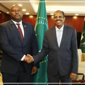 Différends frontaliers Gabon-Guinée équatoriale : un envoyé spécial de l'UA désigné pour mettre en œuvre l'arrêt de la CIJ