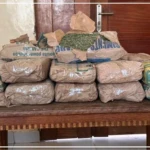 Saisie de 23 kilogrammes de chanvre indien lors d’un contrôle routier à Saly