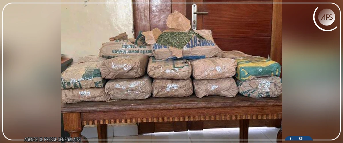 Saisie de 23 kilogrammes de chanvre indien lors d’un contrôle routier à Saly