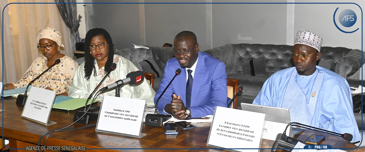 Transition énergétique : un député invite ses collègues à aider l’État à trouver des fonds verts 