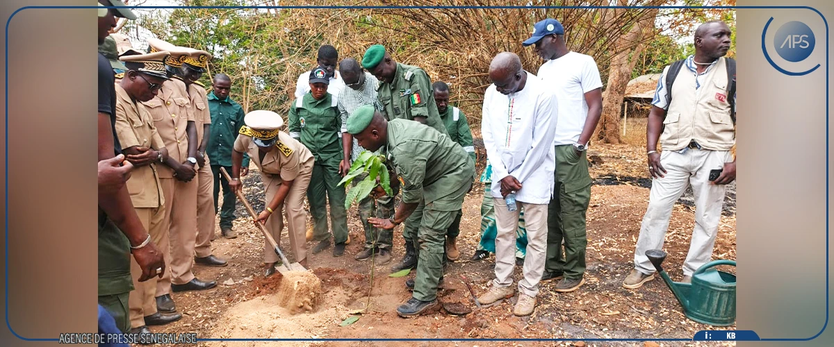 Kédougou : les services des eaux et forêts et des parcs nationaux exhortés à être ''plus performants''
