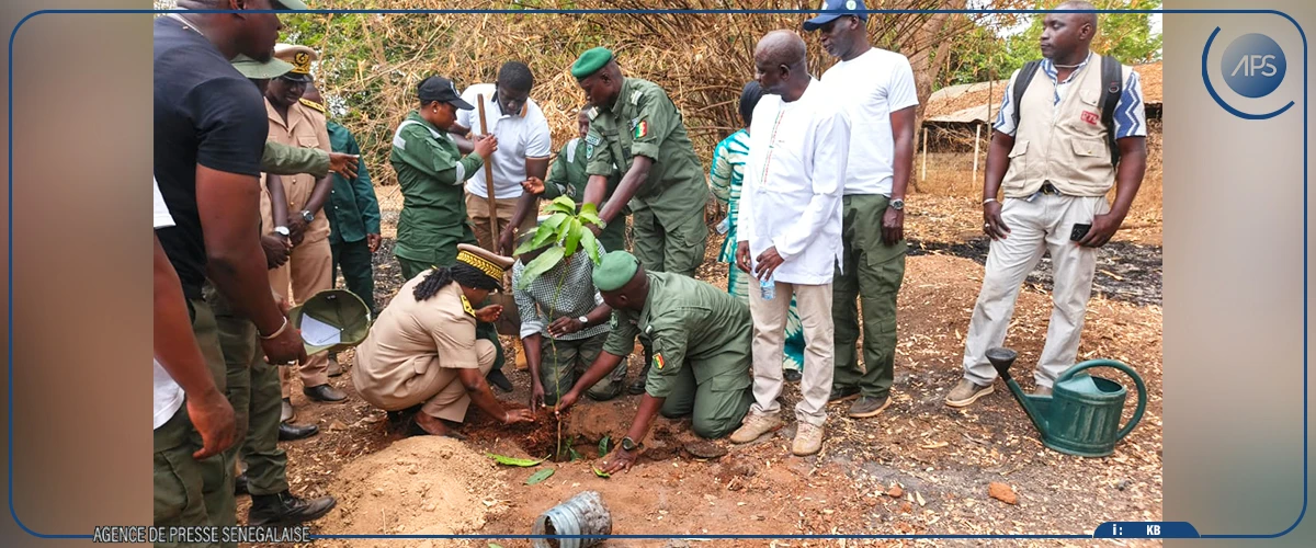 Kédougou : les services des eaux et forêts et des parcs nationaux exhortés à être ''plus performants''