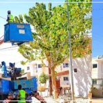 Voiries, éclairage public, bâtiments administratifs : retour sur le relifting de Thiès en 2004