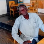 ''Vestiges du passé" de Fara Konaté, l'autre portrait de Louis Faidherbe