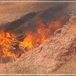 Plus de 7 tonnes de produits impropres à la consommation incinérées à Kolda