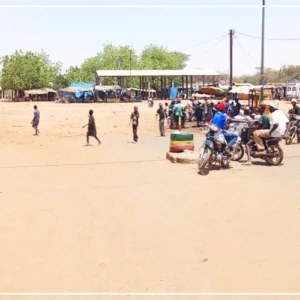 La grève des transporteurs largement suivie à Matam