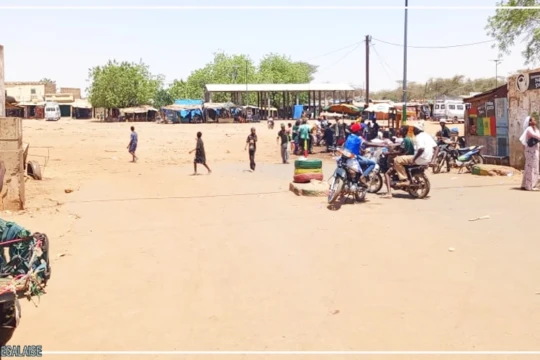 La grève des transporteurs largement suivie à Matam