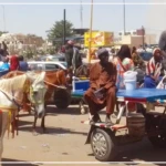 A Touba, les populations se rabattent sur les charrettes et motos du fait de la grève des transporteurs